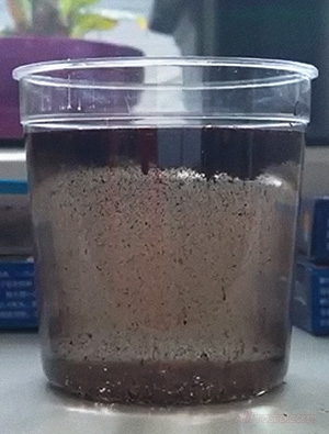 Выращиваем живых рыбос, с алиэкспресс