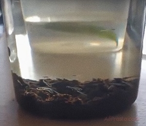 через двенадцать дней, рыбки с алиэкспресс выросли