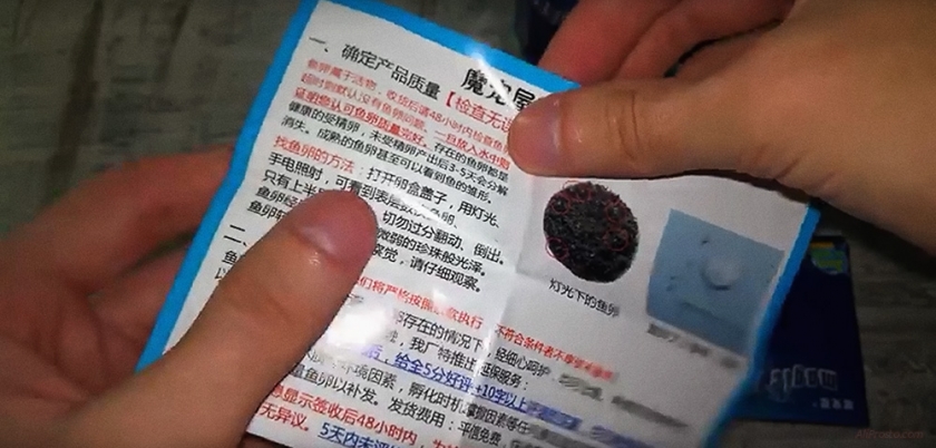 инструкция по выращиванию живых рыбок с алиэкспресс